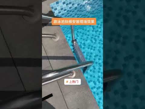 Swimming Pool Ladders