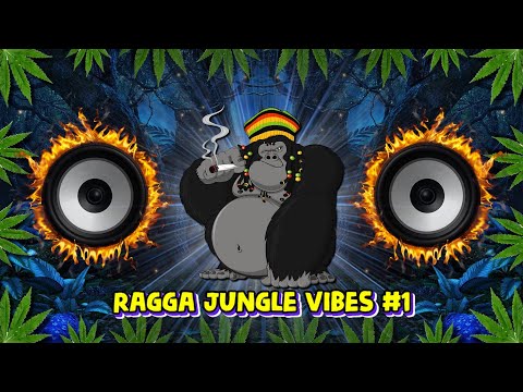 Ragga Jungle Drum & Bass Vibes #1 (Reggae DnB Mix)