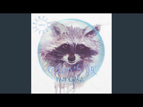 Racoon's Lair (Original Mix)