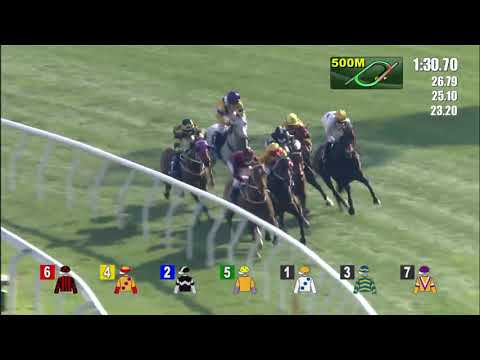 Golden Sixty 【ゴールデンシックスティ】金鎗六十 Hong Kong Gold Cup 21/2/2021 Hong Kong