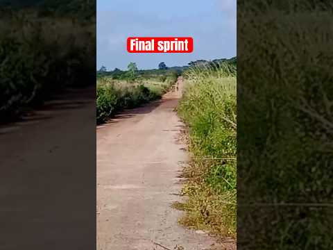 Ciclistas cubanos de matanzas.  Sprint final . Peńa del cítrico en jaguey grande nov 3 2024