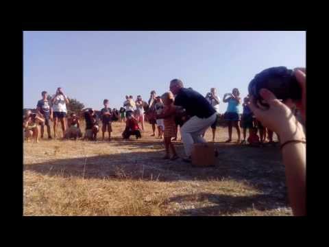 Healed wild birds release in Antiparos Thursday, 08/08/2013 0 Healed wild birds release in Antiparos Thursday, 08/08/2013