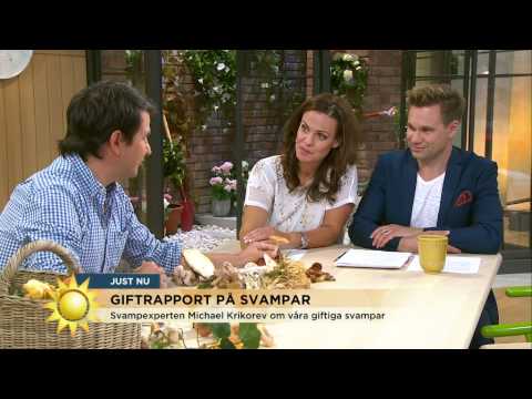 Dödligt giftig svamp - Så vet du vilken svamp som kan ätas - Nyhetsmorgon (TV4)