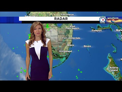 Local 10 News Wetterbericht 06/11/21 Morgenausgabe