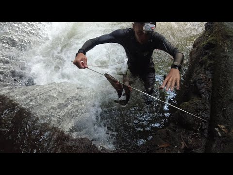 SE03EP038 PART 1 -  ULTIMATE BAKBAKAN! " TUKHANG PART 2 " CATFISH BONANZA