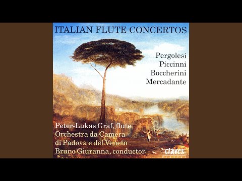 Flute Concerto in D Major: I. Spiritoso
