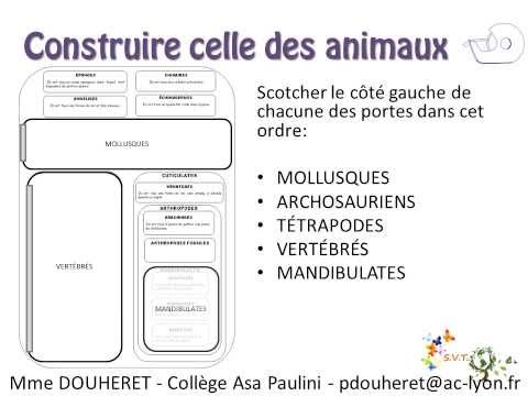 comment construire l'arbre des causes