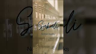 Northern Sparks - Sakali (Audio Teaser) #shorts