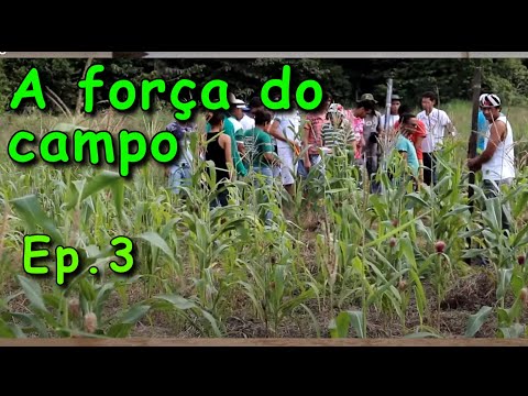Educação no Campo