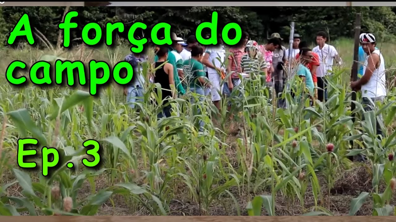 Educação no Campo
