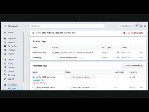 full tutorial on stripe js, chapter 3 @api key