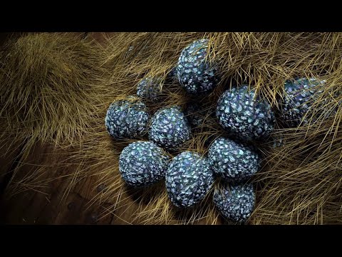 Os ovos explodem | O Presente do Fúria da Noite