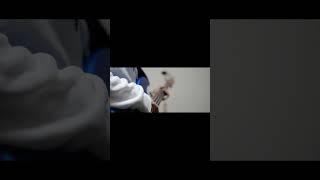 ヨルシカ LIVE TOUR 2025「盗作再演」盗作/創作セトリメドレー Guitar＆Basscover byフクレモ.  #盗作live  #キタニタツヤ【#盗作】【#ヨルシカ】【#盗作再演】