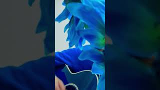 『カタルシス』青が群れる。 #オリジナル曲 #ギター弾き語り #ギター #青が群れる 。