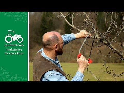, title : 'Obstbäume richtig schneiden | landwirt.com'