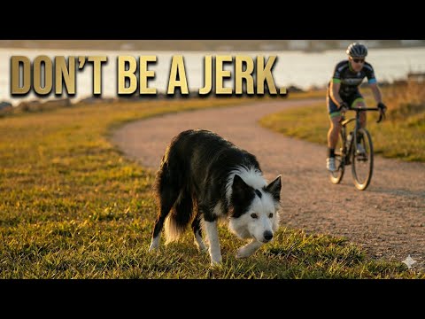 Zak George's Dog Training Revolution