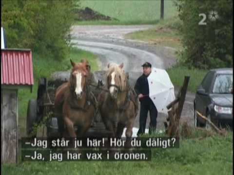 Hästmannen kör ut gödsel