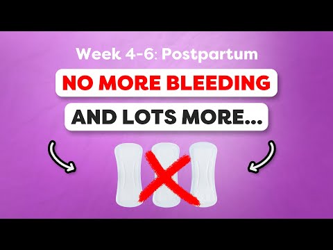 Week 4-6: What to Expect During Your Postpartum