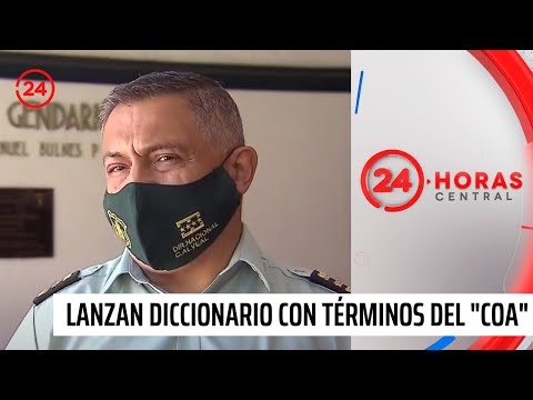 Lanzan diccionario con más de 300 términos del "Coa" | 24 Horas TVN Chile