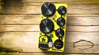 Video thumbnail for Greuter Audio Natural Selection JP Von Dach Fender Stratocaster Clean Vintage Deluxe Reverb by GREUTER Audio