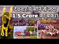 Deonar Bakra Mandi 2025 Day 1 Vlog May 17 1 5 Crore Ka Bakra
