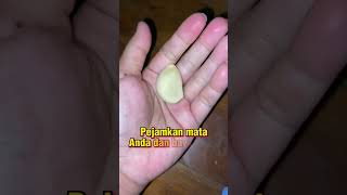 Download lagu PELET JARAK JAUH mp3 Download lagu PELET JARAK JAUH mp3