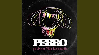 El Cieguito Volador - Sumo