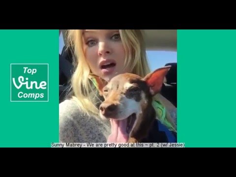 Most Popular Vines April 2015 Part 1 - With Captions