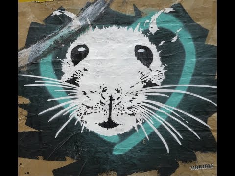 Vegan Queen V - Only One Life