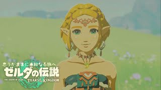 思うがままに未知なる旅へ【ゼルダの伝説 TotK】Part Final