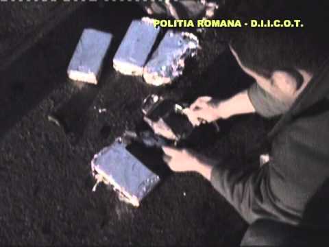 Captură de droguri în Movileni Olt.mpg