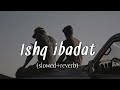 Ishq ibadat (slowed+reverb) birendr dhillon ||Punjabi song slowed and reverb