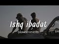 Ishq Ibadat Slowed Reverb Birendr Dhillon Punjabi Song Slowed And Reverb