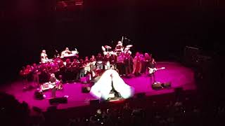Rufus Wainwright - Across The Universe - Live - Royal Albert Hall - 21st April 2019