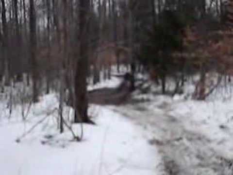 Best of Team shocker