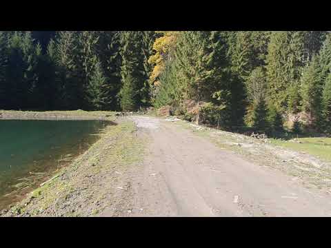 pastravaria Borca, Neamt