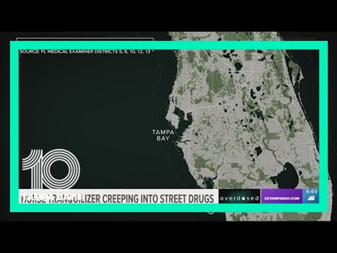 Many people in Tampa Bay area have overdosed on xylazine