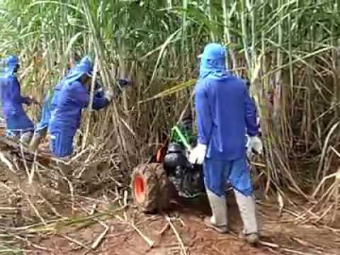 How to Operate Sugarcane Cutting Machine