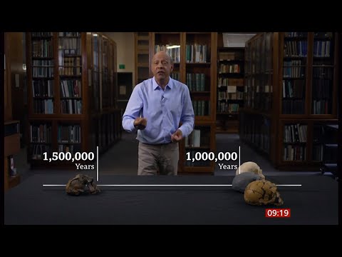 Million-year-old skull ‘rewrites human evolution’ (Global) 26/Sep/2025