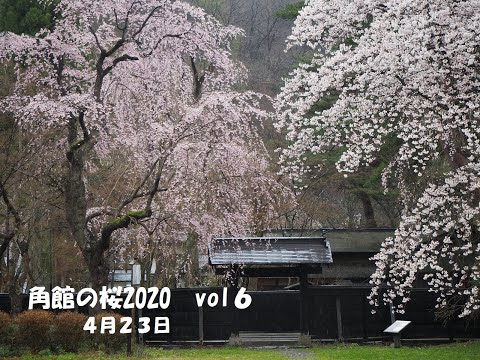 田沢湖角館観光協会 Tazawako Kakunodate Tourism Assosiation 田沢湖角館観光協会 Tazawako Kakunodate Tourism Assosiation