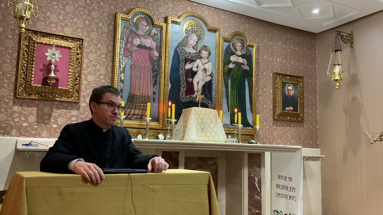 Os Dez Mandamentos 6 - Não pecar contra a castidade: a força da pureza no amor