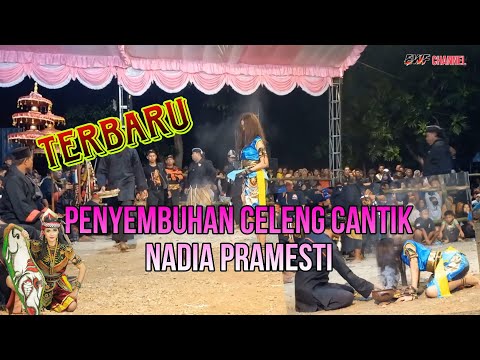 Penyembuhan Celeng Cantik Nadia Pramesti #jaranan #nadia #celeng #celengsrenggi