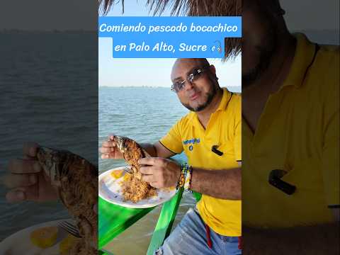 Llegando a la ciénaga Palo Alto, en zona rural de San Marcos, Sucre 🇨🇴