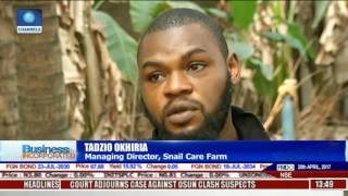 Nigeria Snail Market: Entrepreneurs Rush For Growing Export