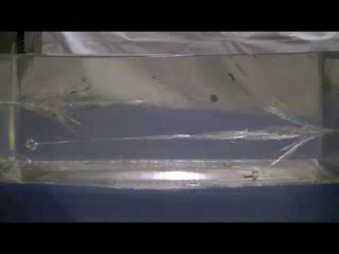 G2 RIP and Liberty Civil Defense Comparison