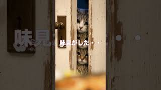 猫たちが魚料理を覗き見…食べたすぎて離れない【猫あるある】【AIアニメ】