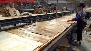 preview picture of video 'Veneer Jointing and Bonding-Production Process of Construction Plywood by Dayawood'