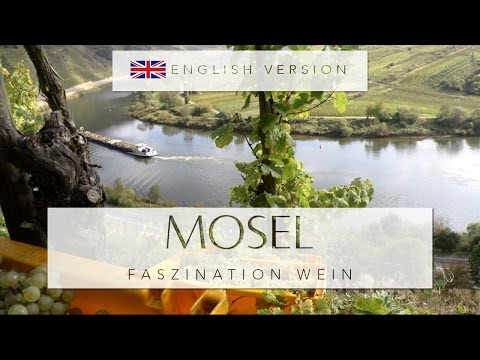 MOSEL - Faszination Wein (english version)