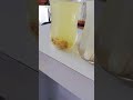 Ph Düzenleyici