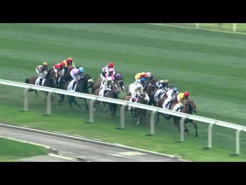 [BMW Hong Kong Derby 2016] BMW Hong Kong Derby 2015 - Review